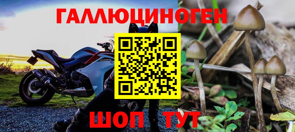 МЕФ   Cocaine  ГАШИШ  A PVP СК   Елизово  МЕТАМФЕТАМИН  Каннабис  Гашиш  Вход с VPN 
