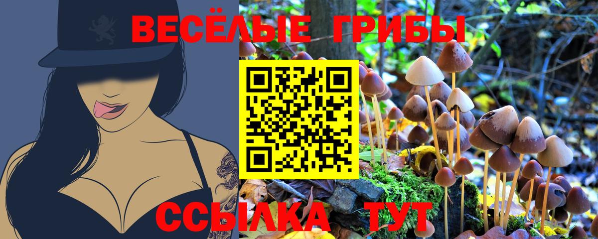 Псилоцибиновые грибы Psilocybine cubensis Елизово