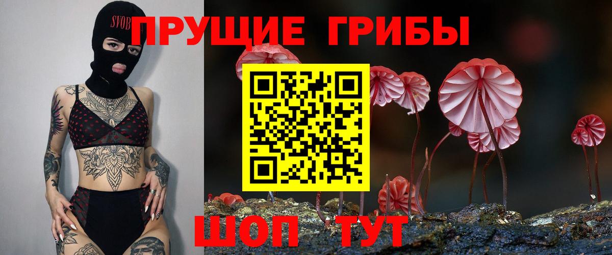 Елизово  Галлюциногенные грибы Psilocybe  Вход с VPN 